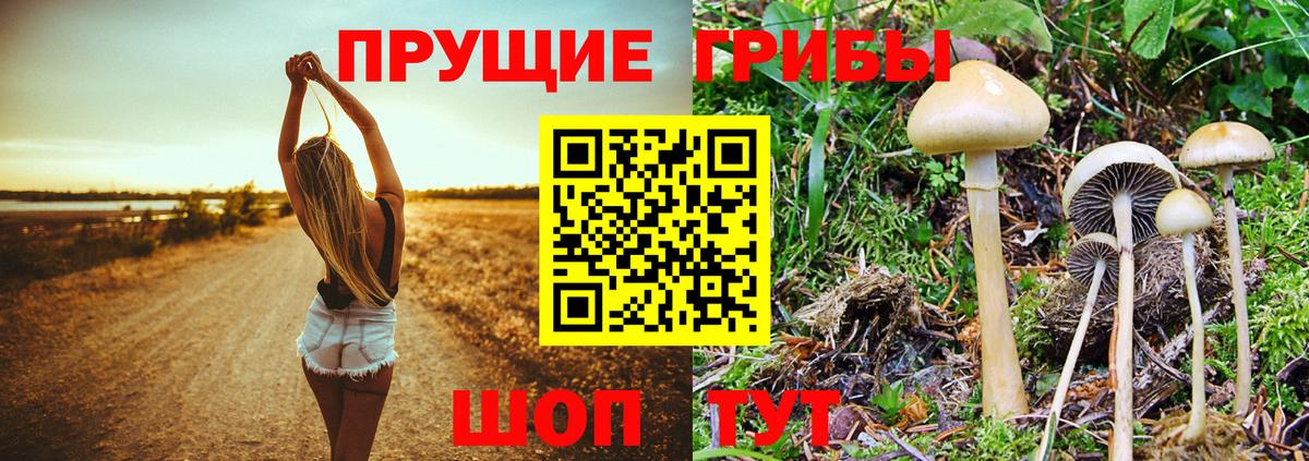 Псилоцибиновые грибы прущие грибы  Вход с VPN  где продают   Видное 